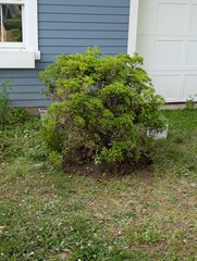 Image file: photo05.jpg