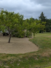 Image file: photo10.jpg