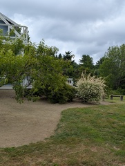 Image file: photo11.jpg