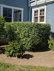 Image file: photo02.jpg