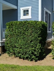 Image file: photo03.jpg