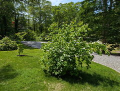 Image file: photo03.jpg