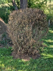 Image file: photo01.jpg