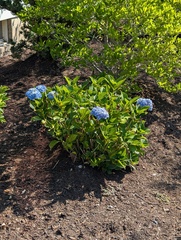 Image file: photo01.jpg