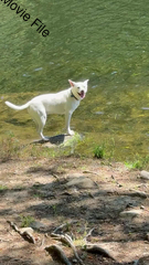 Image file: movie01.mov