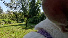 Image file: movie01.mp4