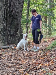 Image file: photo01.jpg