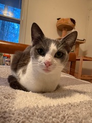 Image file: photo01.jpg