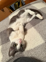 Image file: photo01.jpg