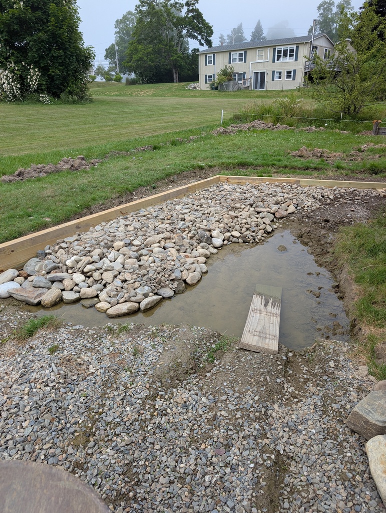 No description provided for: /2025/07-09/0701-retaining-pond/photo01.html