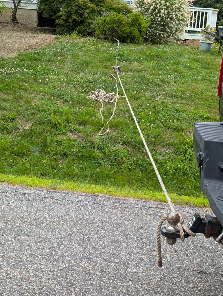 No description provided for: /2025/07-09/0710-rough-transplant/photo03.html