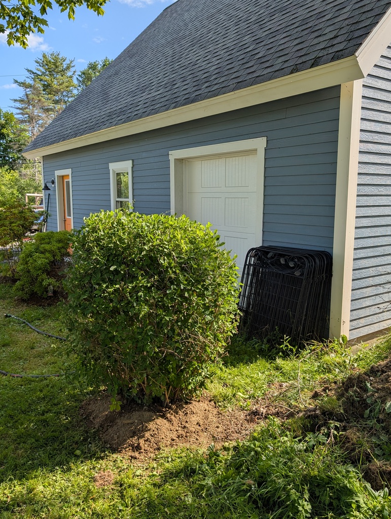 No description provided for: /2025/07-09/0722-brutal-transplant/photo01.html