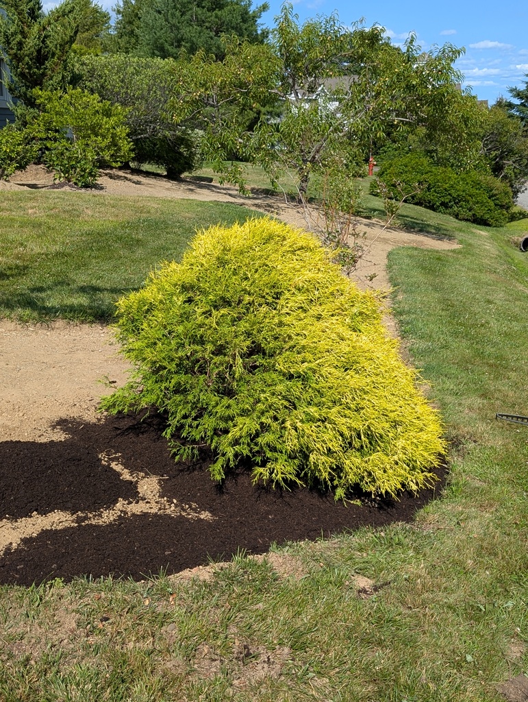 No description provided for: /2025/07-09/0722-brutal-transplant/photo02.html