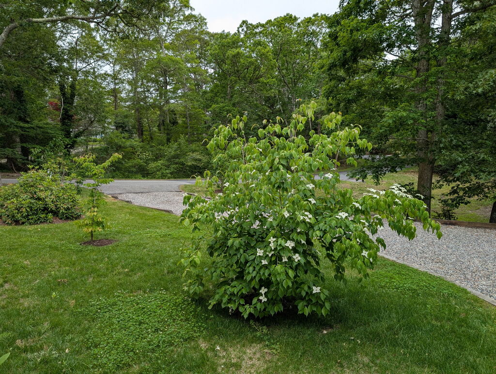 No description provided for: /2025/07-09/0731-tara-plants/photo01.html