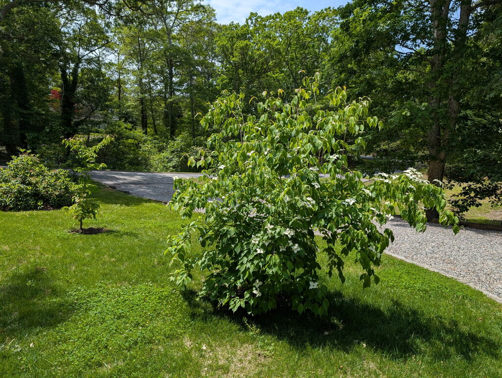 No description provided for: /2025/07-09/0731-tara-plants/photo03.html