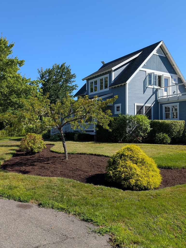 No description provided for: /2025/07-09/0801-partial-mulch/photo01.html