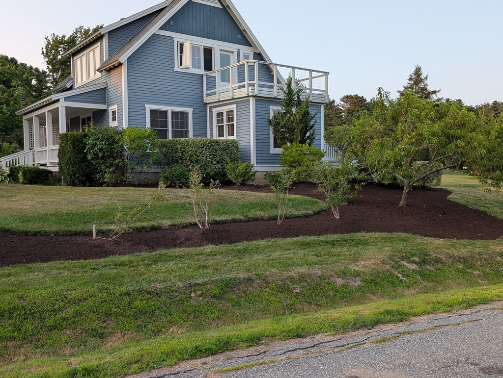 No description provided for: /2025/07-09/0805-mulch-done/photo02.html