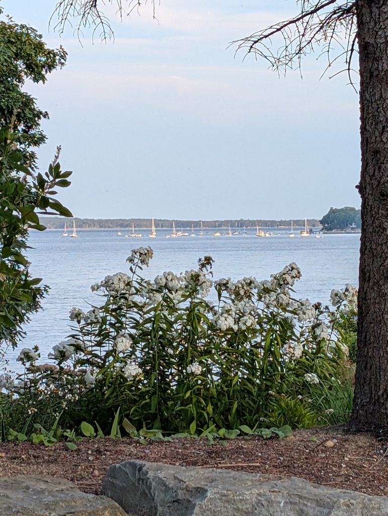 No description provided for: /2025/07-09/0901-bayside-from-home/photo02.html