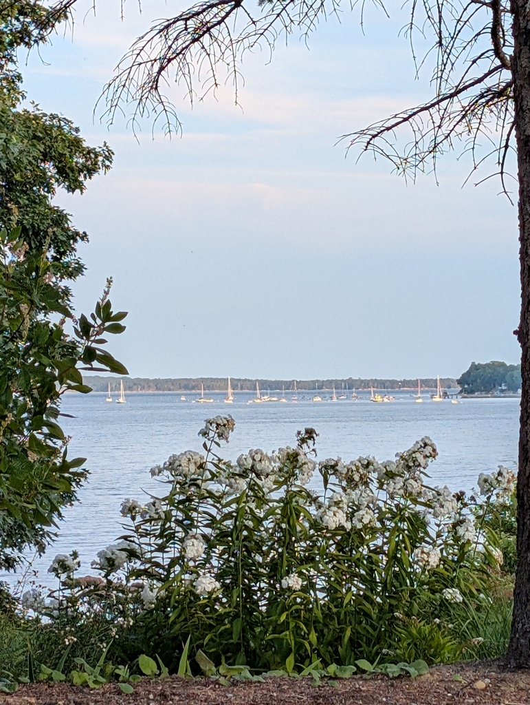 No description provided for: /2025/07-09/0901-bayside-from-home/photo03.html