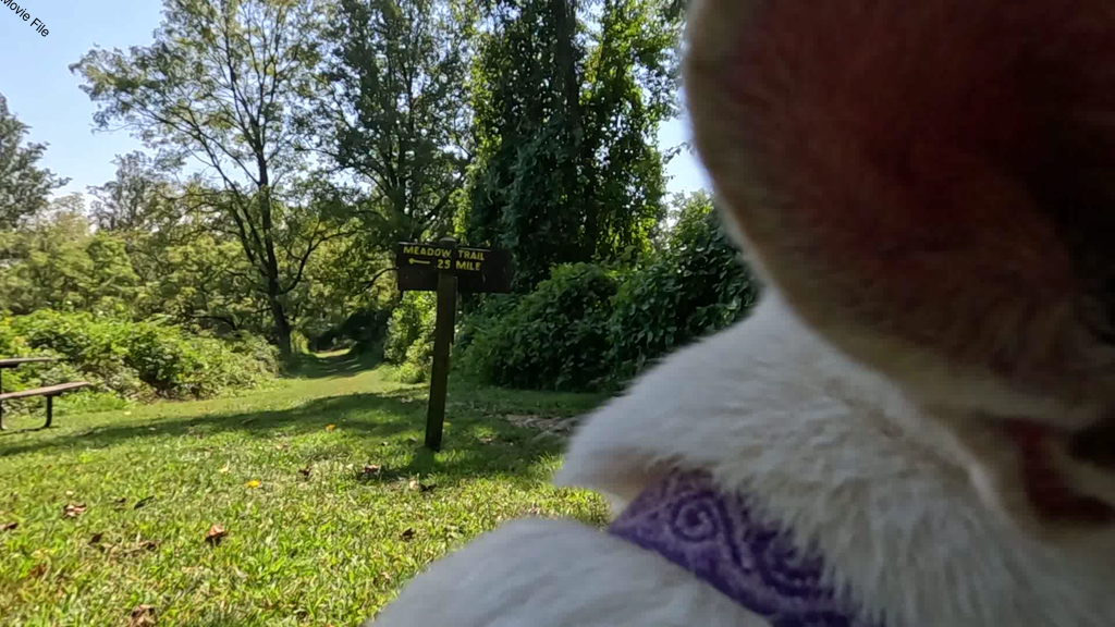 No description provided for: /2025/07-09/0914-lily-cam/movie01.html