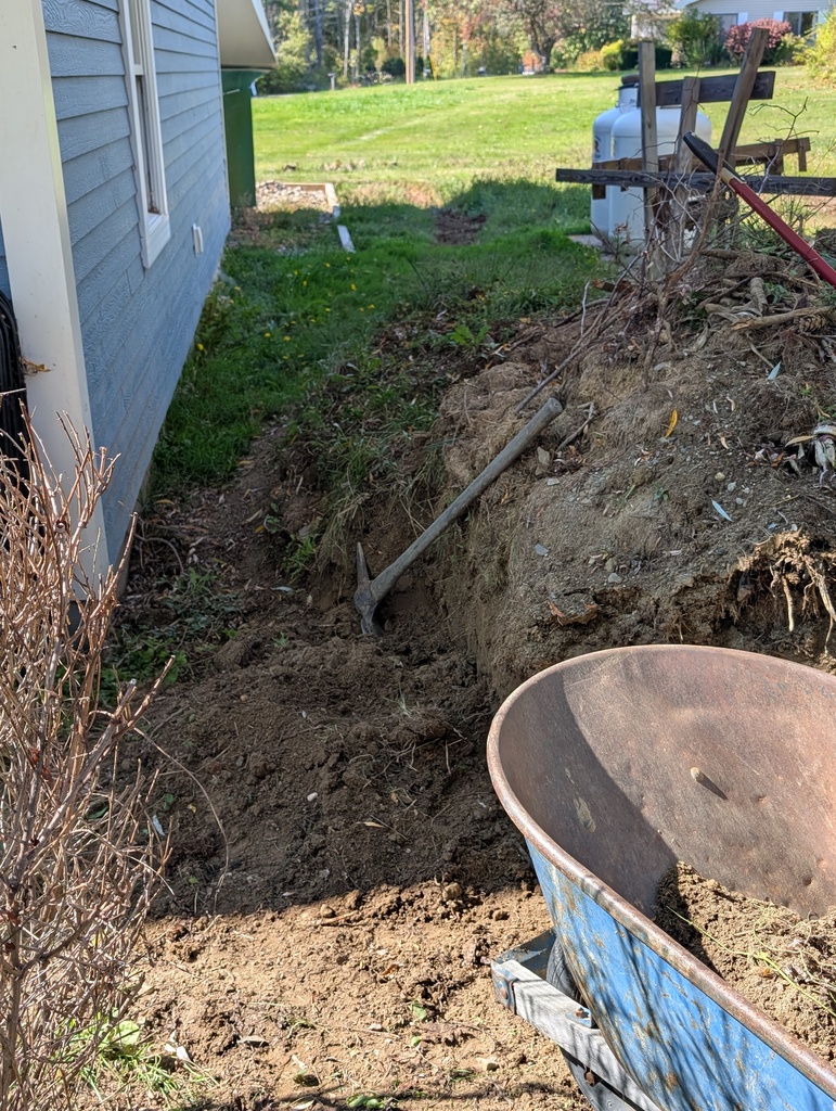 No description provided for: /2025/07-09/0928-behind-garage/photo01.html