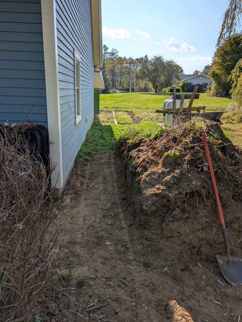 No description provided for: /2025/07-09/0928-behind-garage/photo02.html