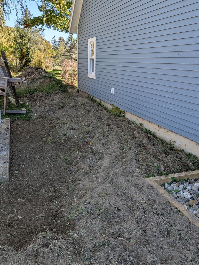 No description provided for: /2025/07-09/0929-behind-garage/photo01.html