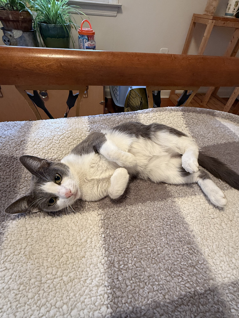 No description provided for: /2025/10-12/1111-thimble/photo02.html