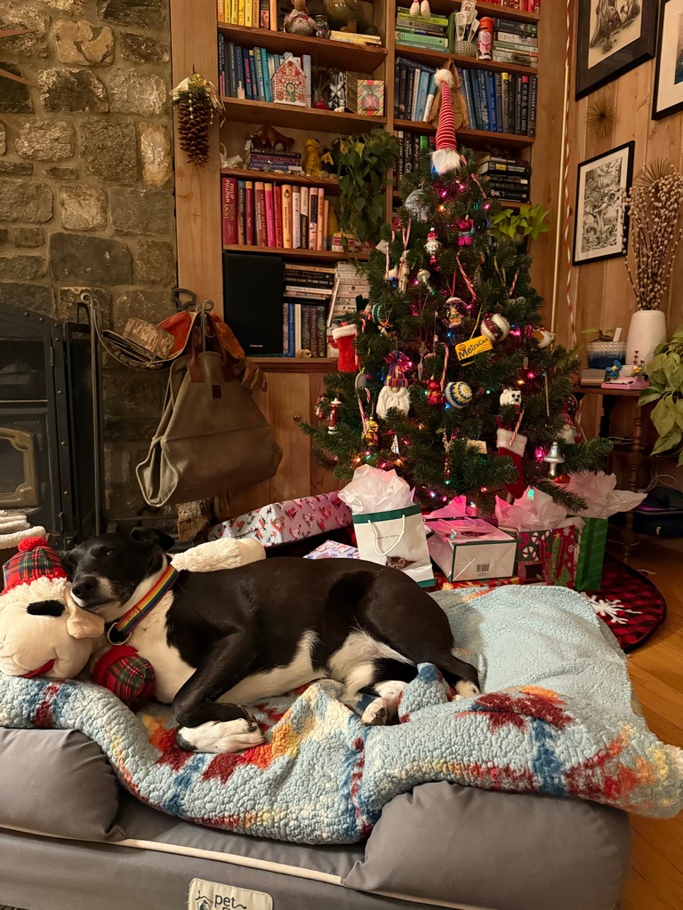 No description provided for: /2025/10-12/1224-christmas-eve/photo01.html