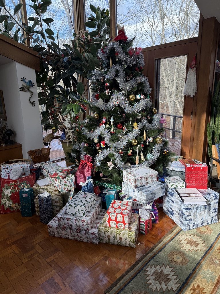 No description provided for: /2025/10-12/1224-christmas-eve/photo05.html