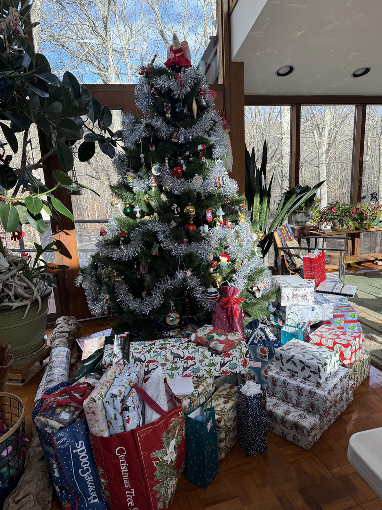 No description provided for: /2025/10-12/1224-christmas-eve/photo06.html