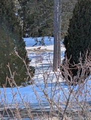 Image file: photo01.jpg