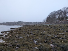 Image file: photo01.jpg