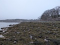 Image file: photo01.jpg