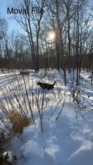 Image file: movie01.mp4