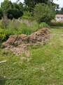 Image file: photo01.jpg