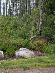 Image file: photo09.jpg