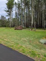 Image file: photo07.jpg