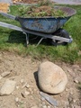 Image file: photo01.jpg