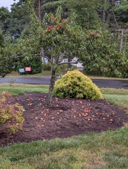 Image file: photo04.jpg