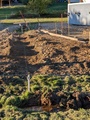 Image file: photo04.jpg