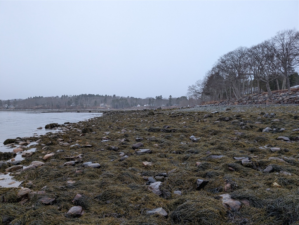 No description provided for: /2026/01-03/0320-low-tide/photo01.html