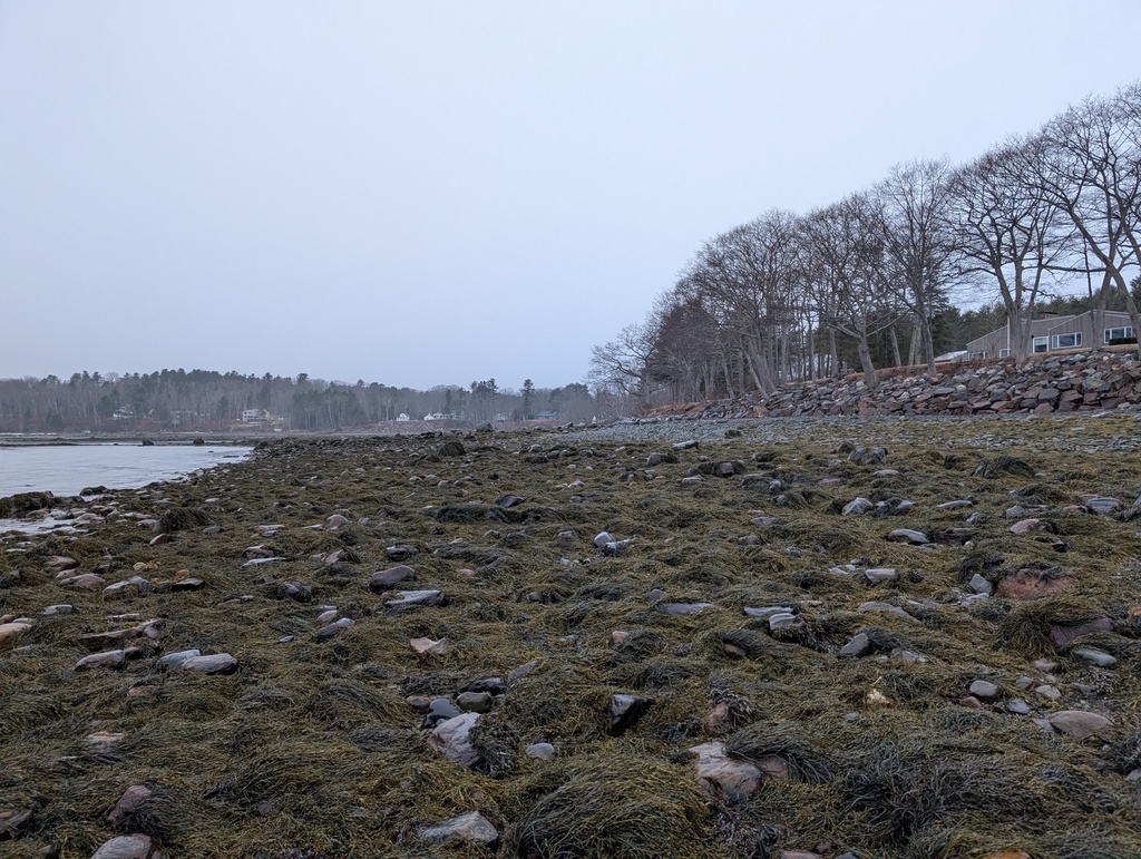 No description provided for: /2026/01-03/0320-low-tide/photo02.html