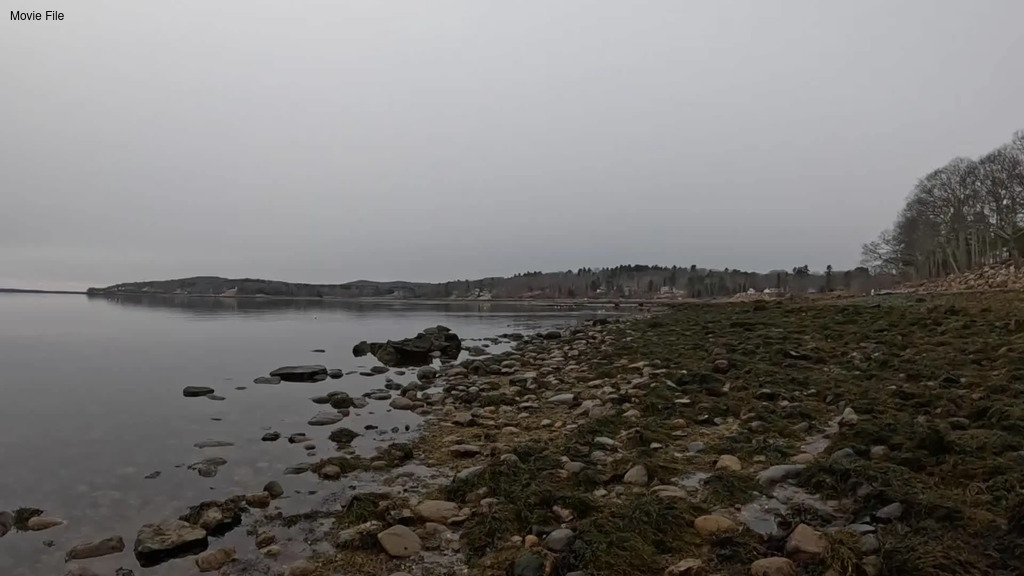 No description provided for: /2026/01-03/0322-low-tide/movie01.html