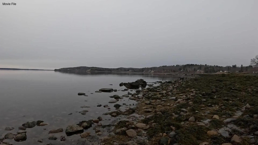 No description provided for: /2026/01-03/0322-low-tide/movie02.html