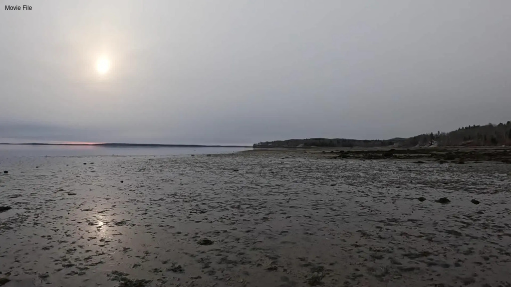 No description provided for: /2026/01-03/0322-low-tide/movie04.html