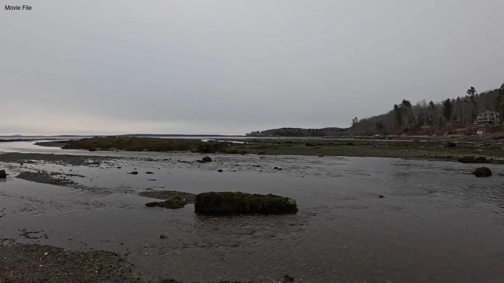 No description provided for: /2026/01-03/0322-low-tide/movie05.html