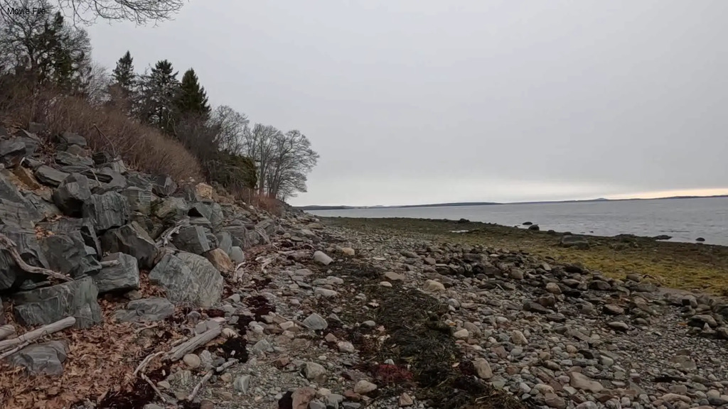 No description provided for: /2026/01-03/0322-low-tide/movie07.html