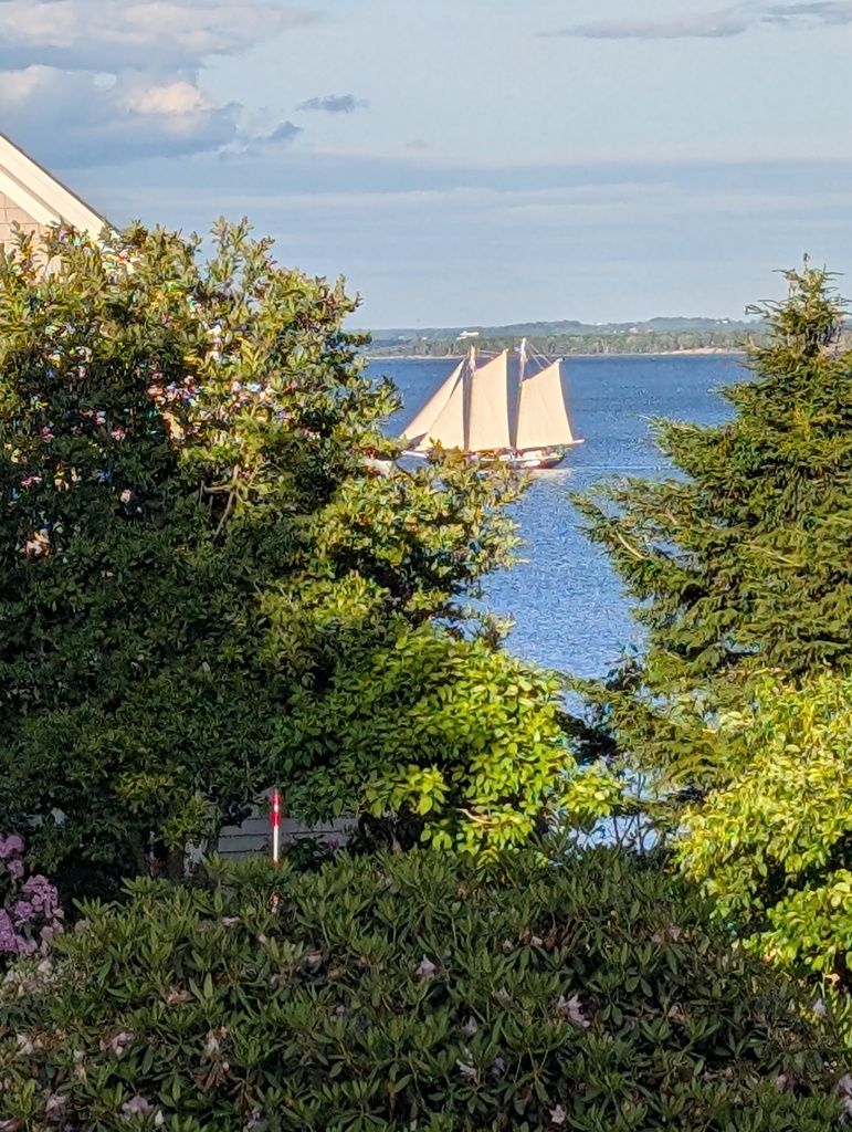 No description provided for: /2026/04-06/0619-schooner/photo01.html