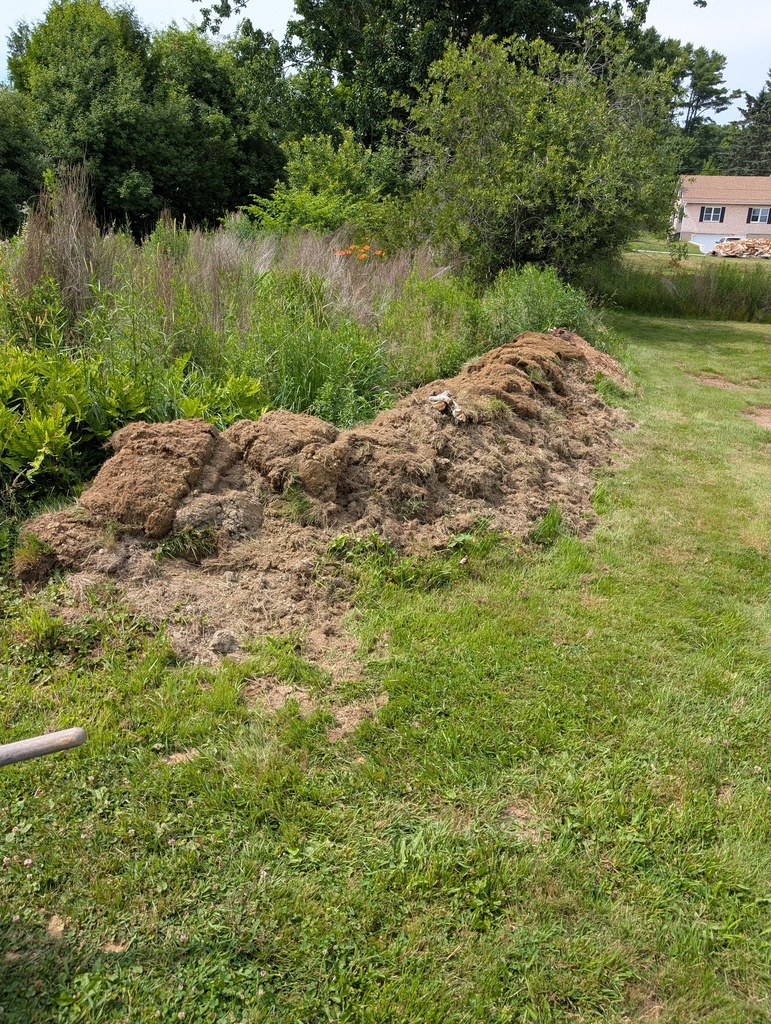 No description provided for: /2026/07-09/0707-yard-berm/photo01.html
